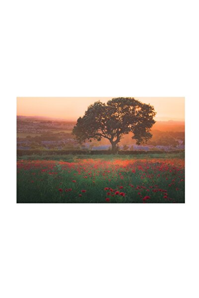 4Decor Pânză Tablou 4Decor, câmp de mac roșu, 95x150cm, DE0327