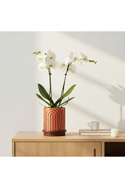 By Tridome Norla Decorative Vase - Copper / Wooden Base