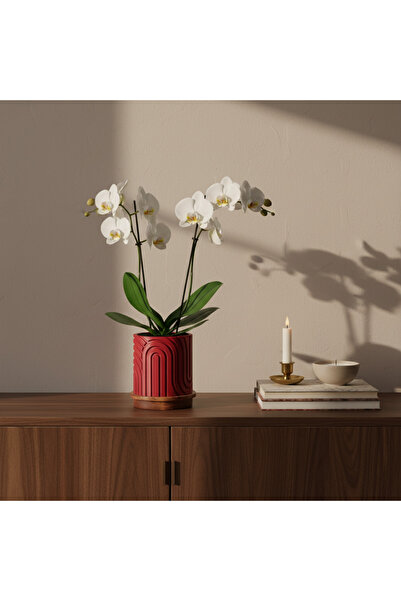 By Tridome Norla Dekoratif Vazo - Yakut Kırmızı / Ahşap Tabanlı