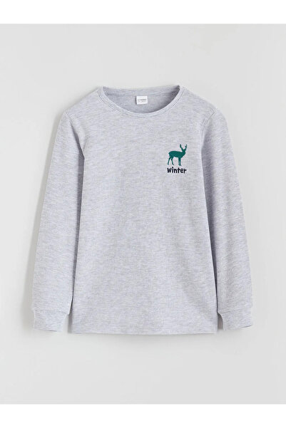 LC Waikiki Crew Neck Boy's Pajama Set