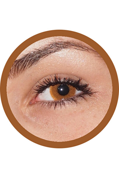 Illusion Color Tulipa Brown Καφέ/μελί χρώματος φακοί επαφής