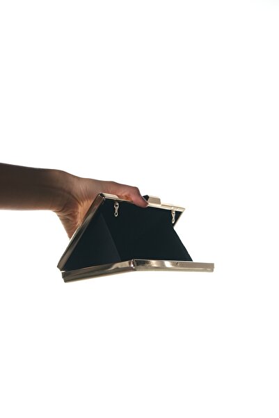 LuviShoes Ivan Gold Skin Women's Evening Dress Bag