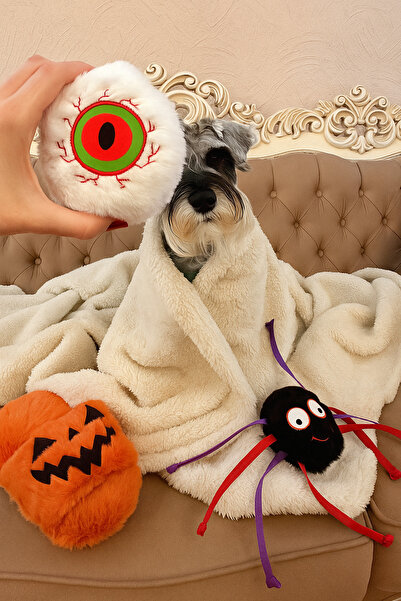 Havhav Halloween Themed Dog Toy Set of 2 | Plush Spider and Plush Eye Play Ball