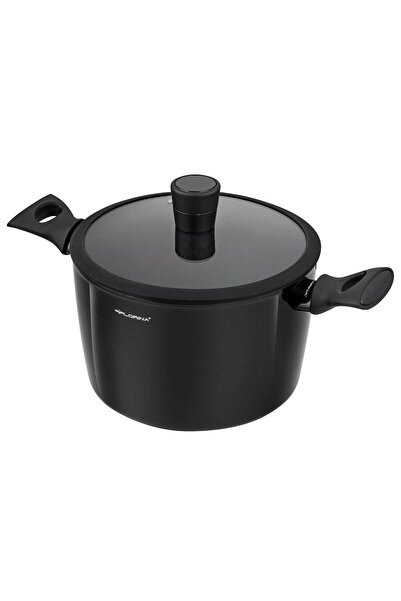 Florentyna Pot with forged aluminum lid, non-stick coating that prevents stic...