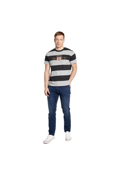 Gant Men's Stripe Logo T-Shirt, Gray, 100% Cotton, Short Sleeve, Size S