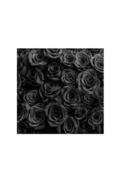 4Decor Panza Tablou 4Decor, Trandafiri negri, 50x50cm, DE0255