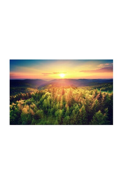 4Decor Pânză Tablou 4Decor, Birdseye, 95x150cm, DE0236