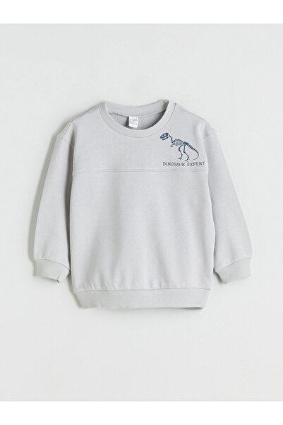 LC Waikiki Özmarka New Season Dinosaur Printed Boys' Sweatshirt and Sweatpants