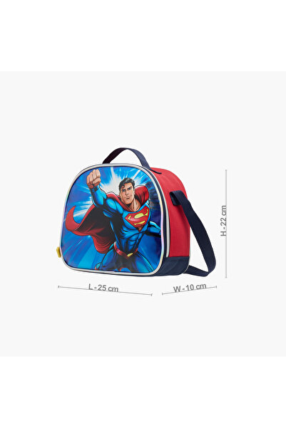Warner Bros Superman Print Lunch Bag with Zip Closure