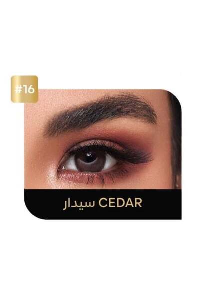 Ecco ايكو لنس عدسات لاصقة يومية - سيدار