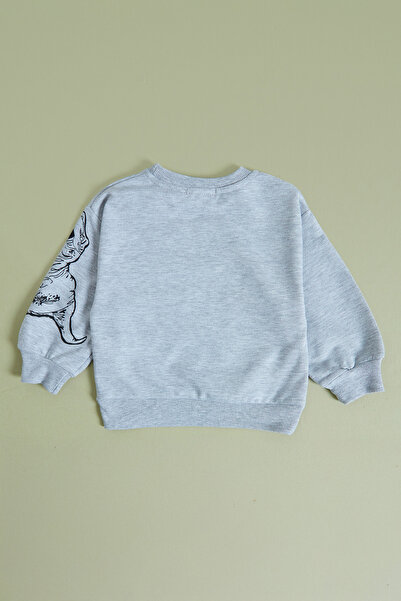 Fulla Moda Dinosaur Printed Boy's Sweatshirt Set