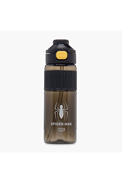 Marvel Spider-Man Print Water Bottle - 750 ml