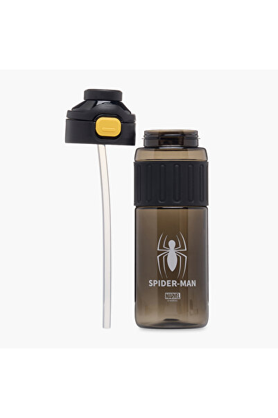 Marvel Spider-Man Print Water Bottle - 750 ml