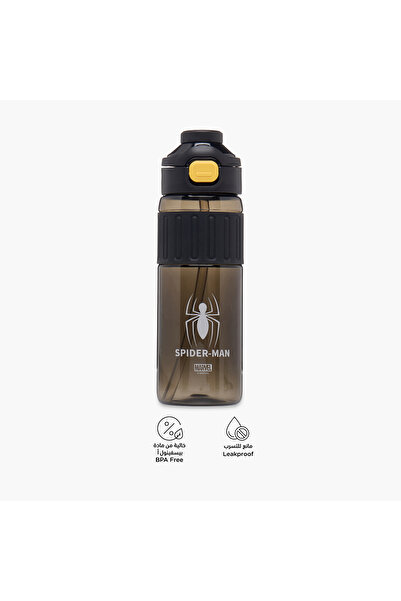 Marvel Spider-Man Print Water Bottle - 750 ml