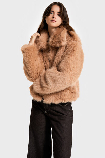 its basic Women's Brown Color W5-82 with Collar Faux Fur Coat