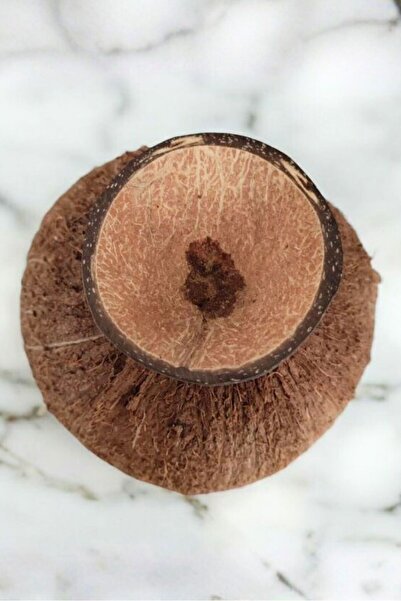 Uretti Okay 5711 5476 Handmade Real Coconut Bowl / Natural Decorative Plate