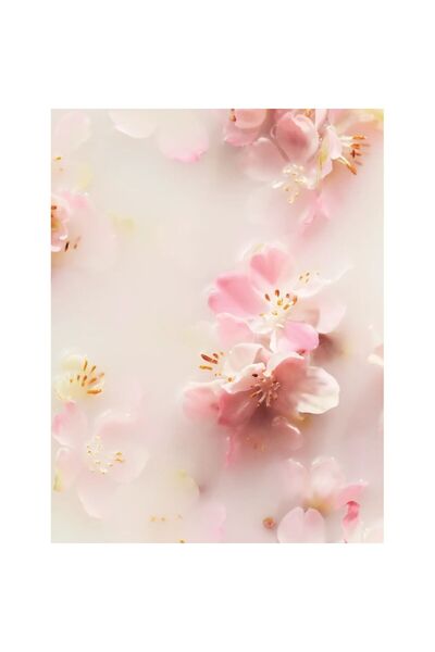 Rituals Medium Gift The Ritual of Sakura 2025