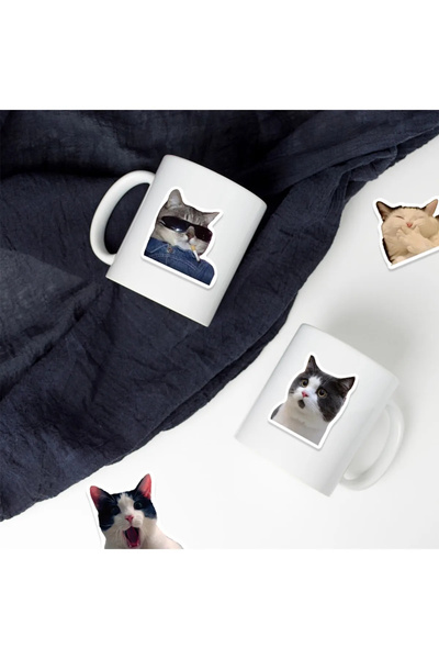 TTT Crazy Cats MacBook Notebook Phone Tablet Agenda Laptop Notebook Sticker Set