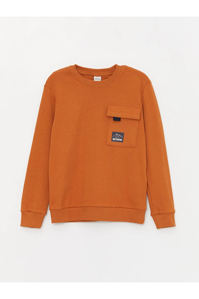 LC Waikiki Lcw Kids Brown Crew Neck Long Sleeve Boys T-Shirt