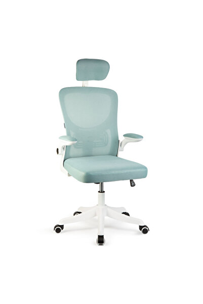 OEM Scaun de birou ergonomic cu brate rabatabile, alb/albastru, 58 x 48 / 50 ...