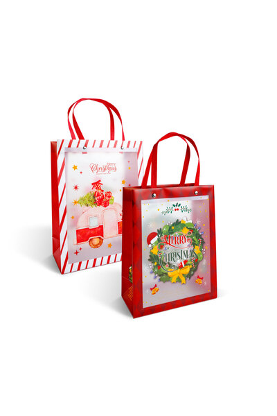 CED AUTO TRADE Punga decorativa pentru cadouri – 24 x 19,5 x 9,5 cm – 2 modele – material plastic