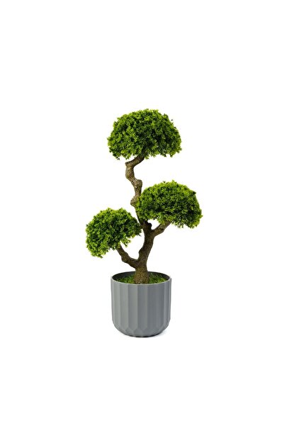 CED AUTO TRADE Decoratiune cu planta artificiala - Bonsai - 55 x 27 cm