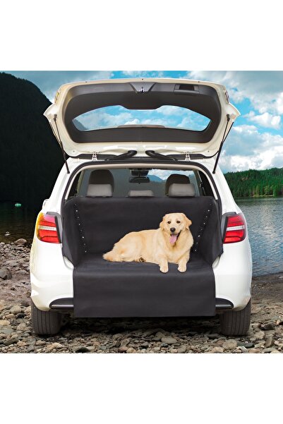 Alista Home Protector pt. portbagaj si bare de protectie