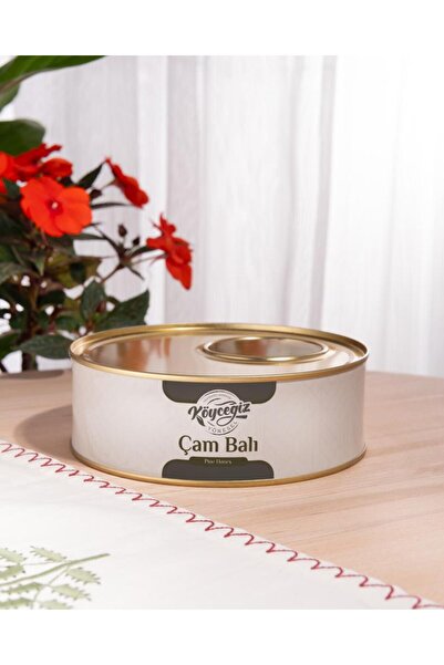 Köyceğiz Yöresel Kb Çam Balı 850 G Teneke