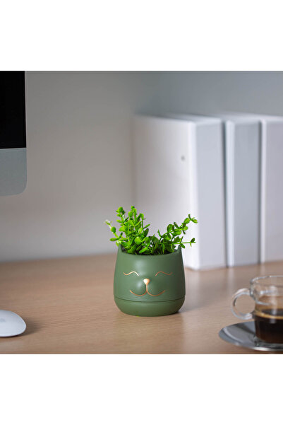 CED AUTO TRADE Decor artificial cu plante - cap de pisică - 9 x 14 cm