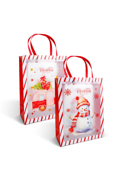 CED AUTO TRADE Punga decorativa pentru cadouri – 32 x 25 x 11 cm – 2 modele – material plastic