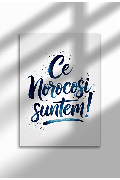 21mxm Unframed Romanian Quote Canvas Poster - Digital Print - How lucky we are