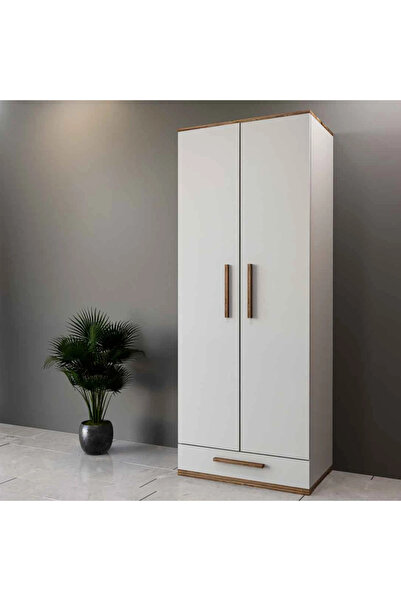 Stylish Home White and brown two-door wardrobe and closet - DLB03