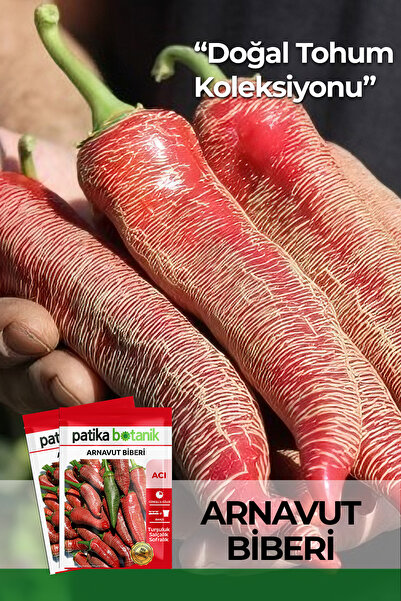 Patika Botanik 20 Adet Arnavut Biberi Tohumu