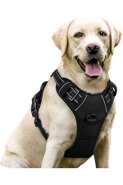 Rabbitgoo Padded No-Pull Adjustable Dog Vest Harness with Front Clip and Handle