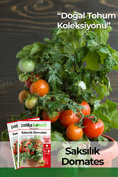 Patika Botanik 100 Adet Saksılık Domates Tohumu