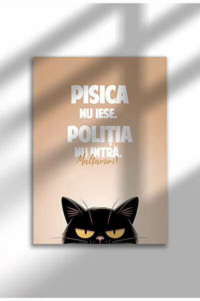 21mxm Unframed Cat Quote Canvas Poster in Romanian - Digital Print - Pisica nu Iese