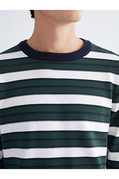 LC Waikiki Vizyon New Season Crew Neck Striped Men's Knitwear Sweater