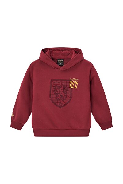Giordano Junior's Harry Potter Relaxed Fit Graphic Hoodie
