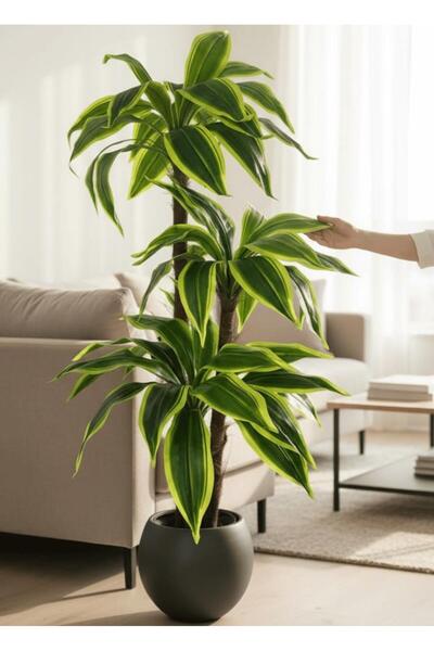 Nettenevime Yapay Ağaç Yukka Sarı Şeritli Draceena Ağacı Antrasit Küre Saksıda 120*50cm 54 Yapraklı