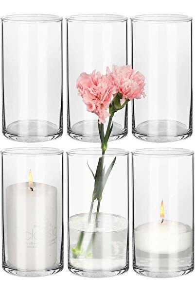 Generic AKDC Bigivaca 6 Inch Tall Clear Glass Vases,Bulk Cylinder Flower& Plant Vases,Set Of 6 Pack Candle