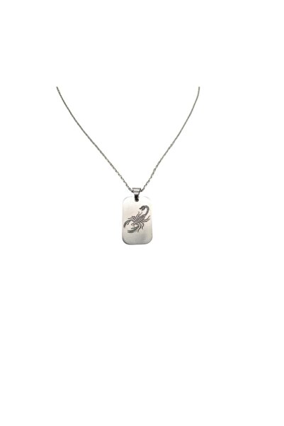 OEM 925 Sterling Silver Scorpion Pendant Necklace, 50 cm