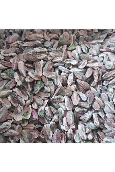 şahin alkurt yöresel antep ürünleri Şahin ALKURT Baklavalık iç fıstık