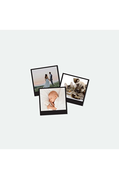 Tabby Design Anı Defteri İçin Pola Fotoğraf Kartları - 12 Adet