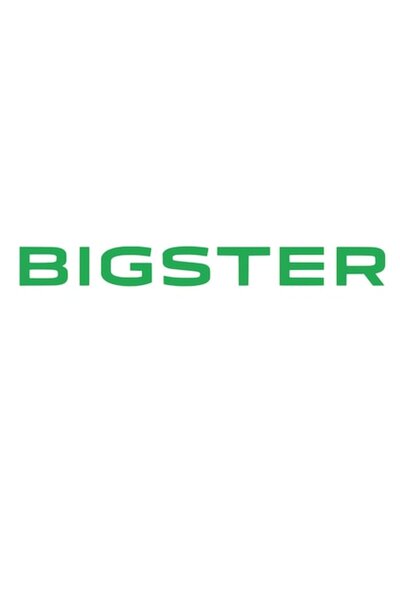 Oracal Car sticker written Bigster for hood or body, 30cm, green