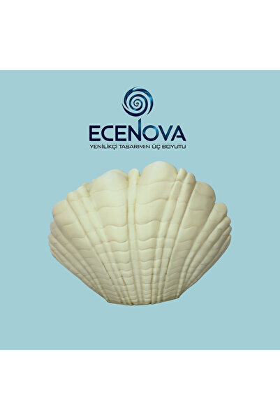 VAZO DEKOR MİDYE KABUĞU Formlu Vazo 3D DEKORATİF STİL OBJE - ECENOVA