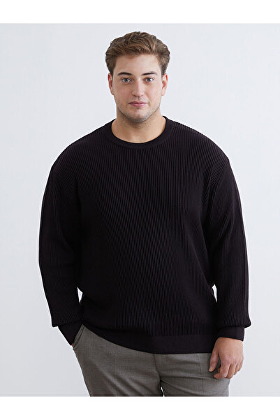 LC Waikiki Brown Crew Neck Men's Knitwear Sweater