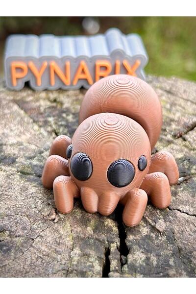 pynarix Örümcek Oyuncak - Doğanın İnce Dokumacısı 🕷️🕸️ 3D Hareketli Organik Model - Orta Boy