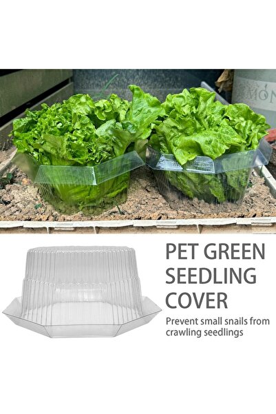 YeahBoom Set of 20 Slug Protection Collars, Plastic, for Vegetables, Reusable