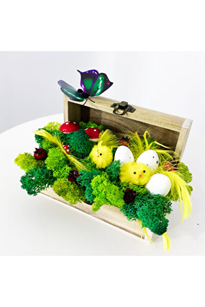 velve Handmade decoration with stabilized lichens, decorative elements with eggs, chicks, mushrooms, wooden chest