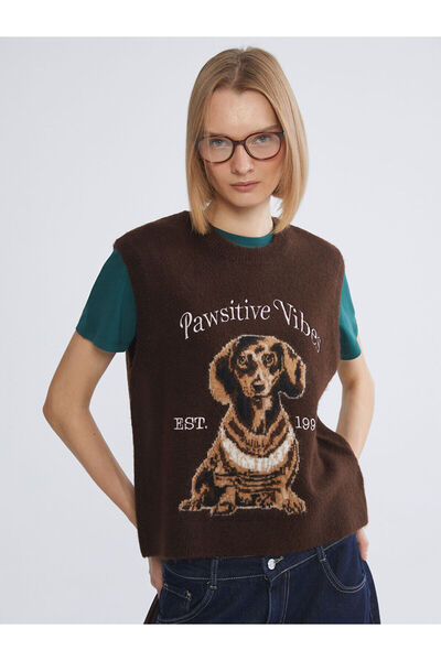 LC Waikiki guler rotund Dog cu imprimeu Pulover de tricotat pentru femei